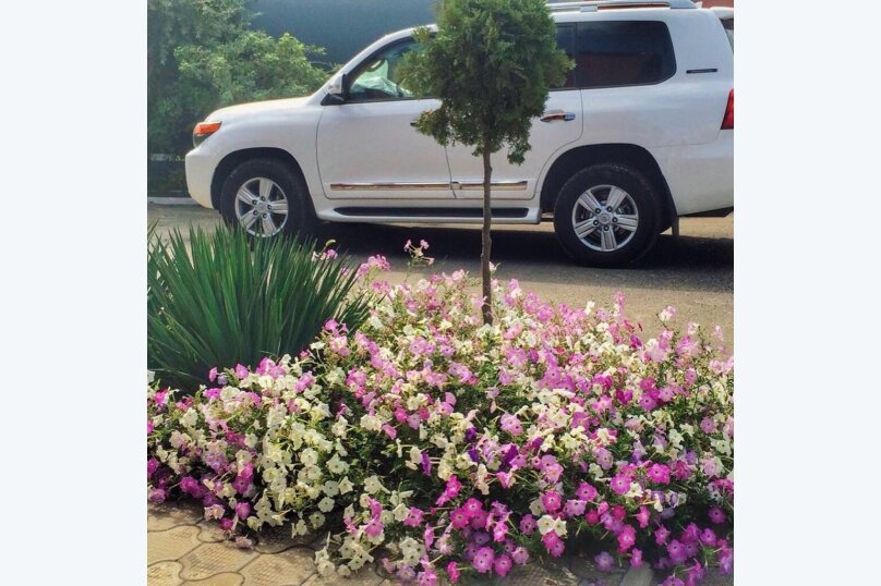 Фото Серебристый лог