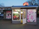 Ромашка (Mira Avenue, 52), flower shop