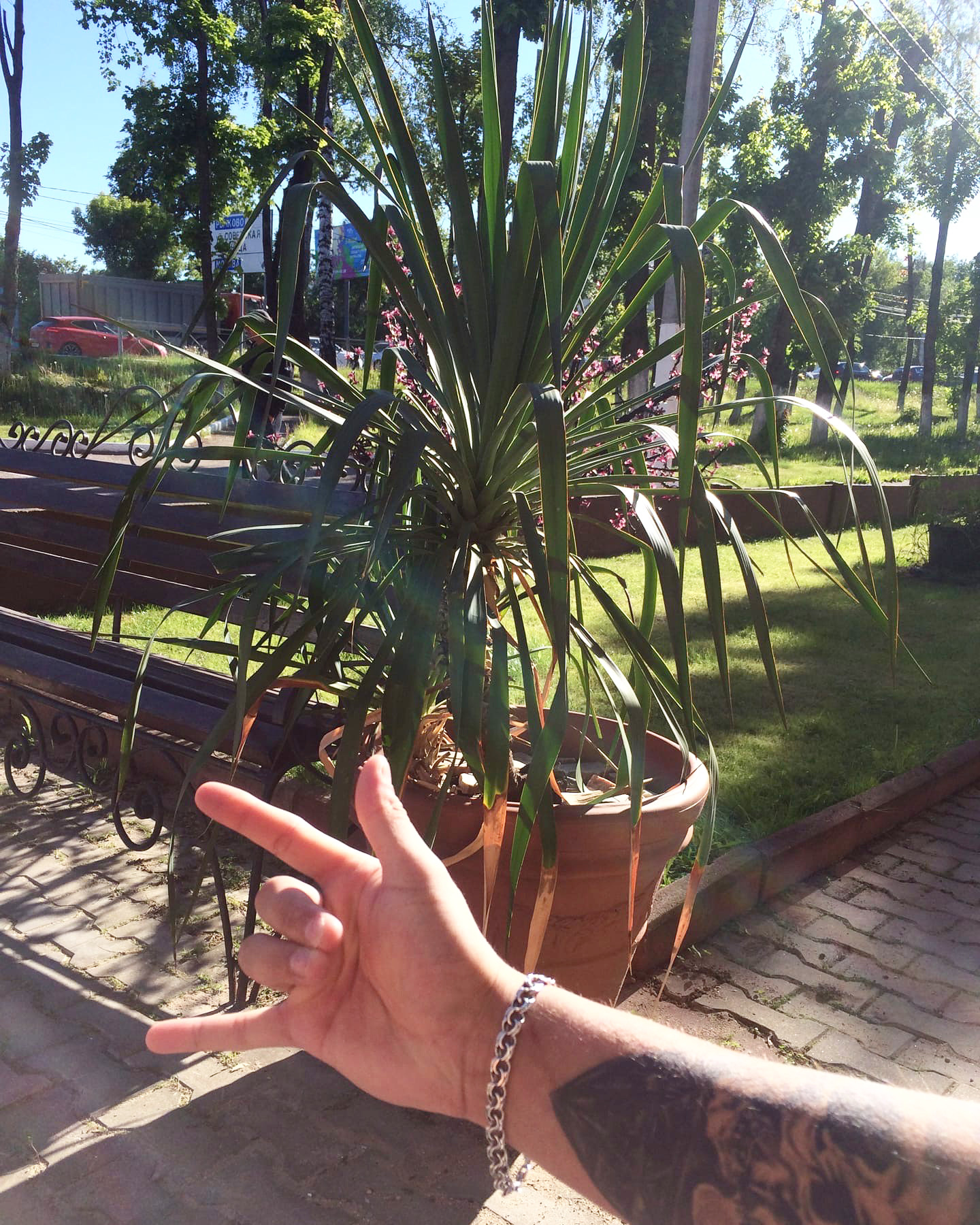 Фото Ливадия