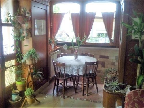 Фото Hotel Cercone