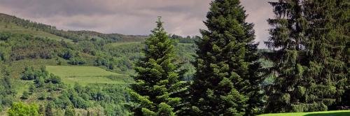 Фото Отель L'Hotelet del Bac