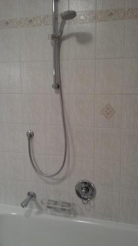 Фото Apartment Hotel Elvis