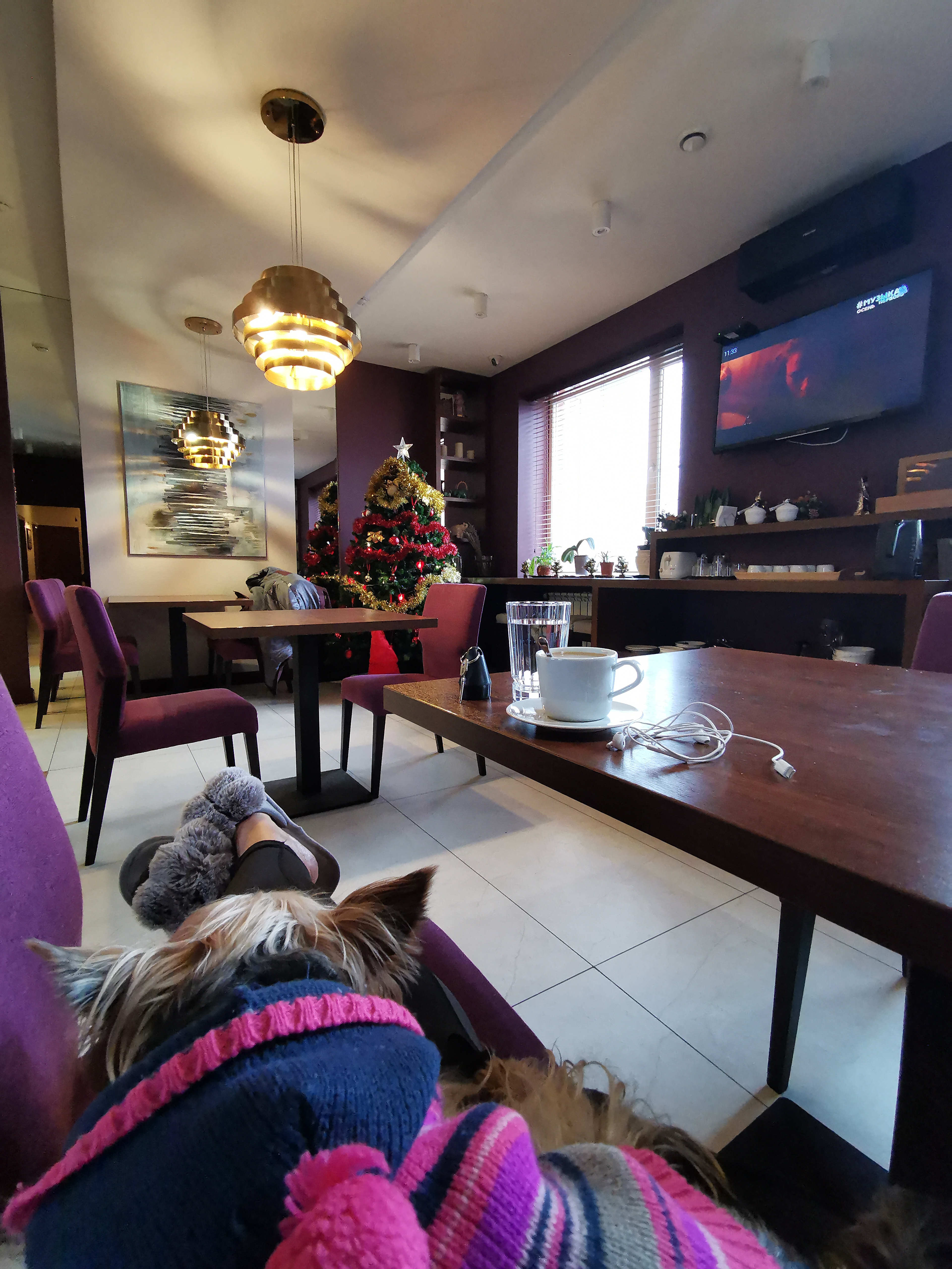 Фото Ломоносов