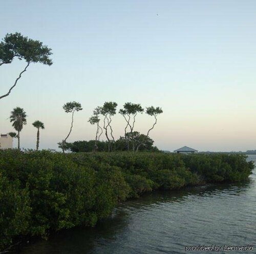 Гостиница Tradewinds Beach Resort