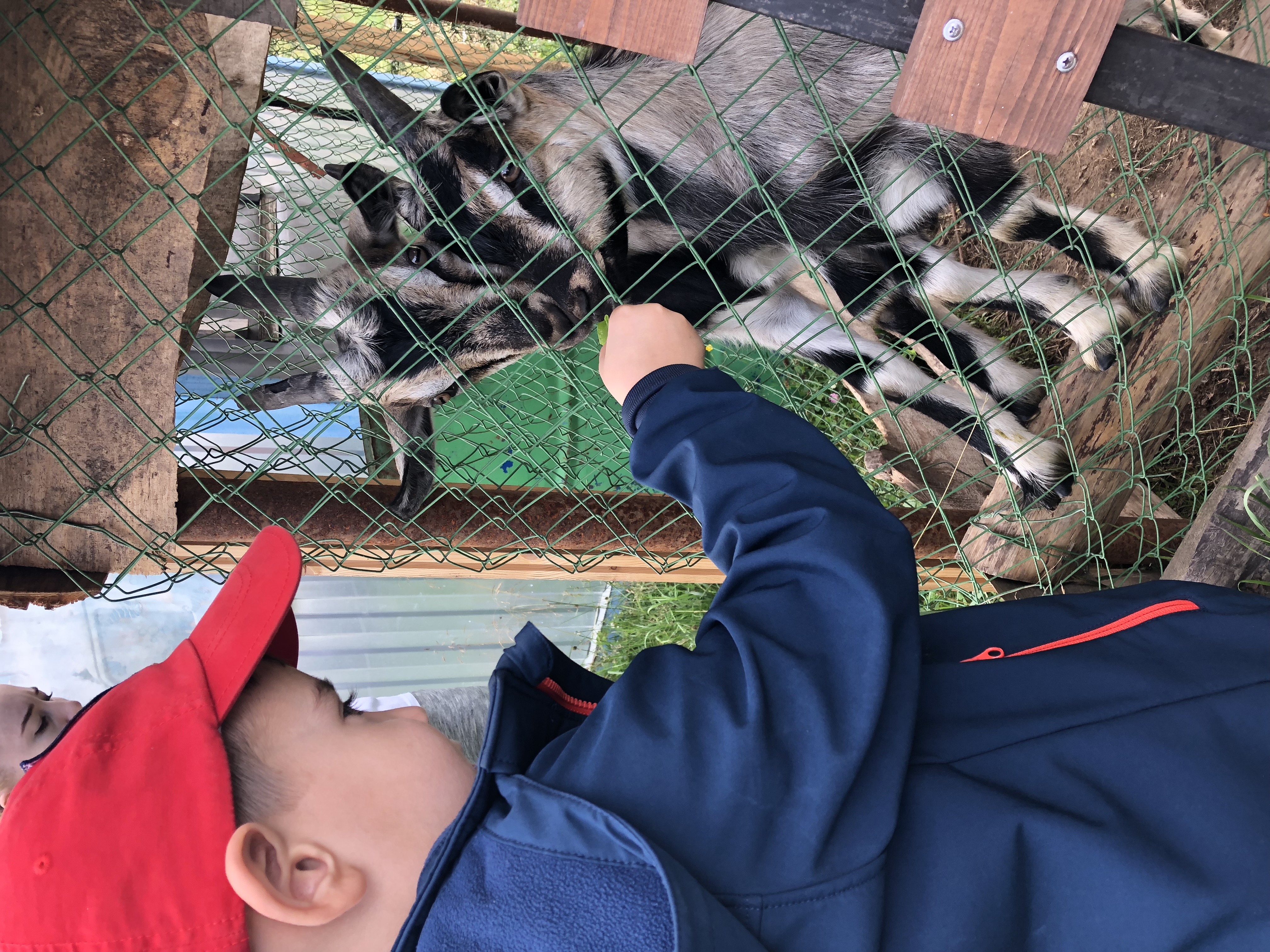 Фото База отдыха Берёзовка