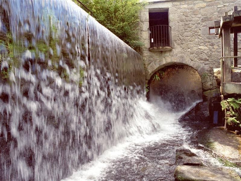 Фото Finca Galea