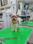 Ваш Грумер (Melnikova Avenue, 23/2), pet salon