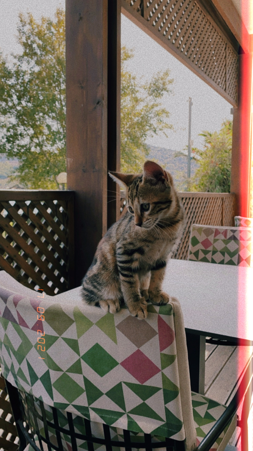 Фото Dolce by Wyndham Athens Attica Riviera