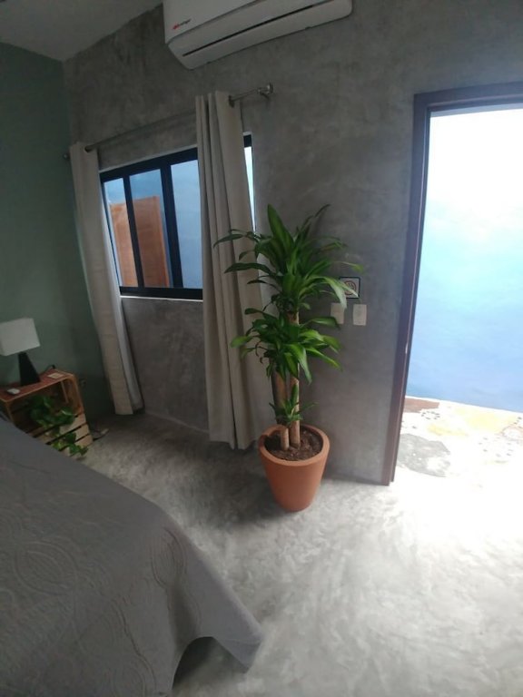 Фото North Side Studios Sayulita