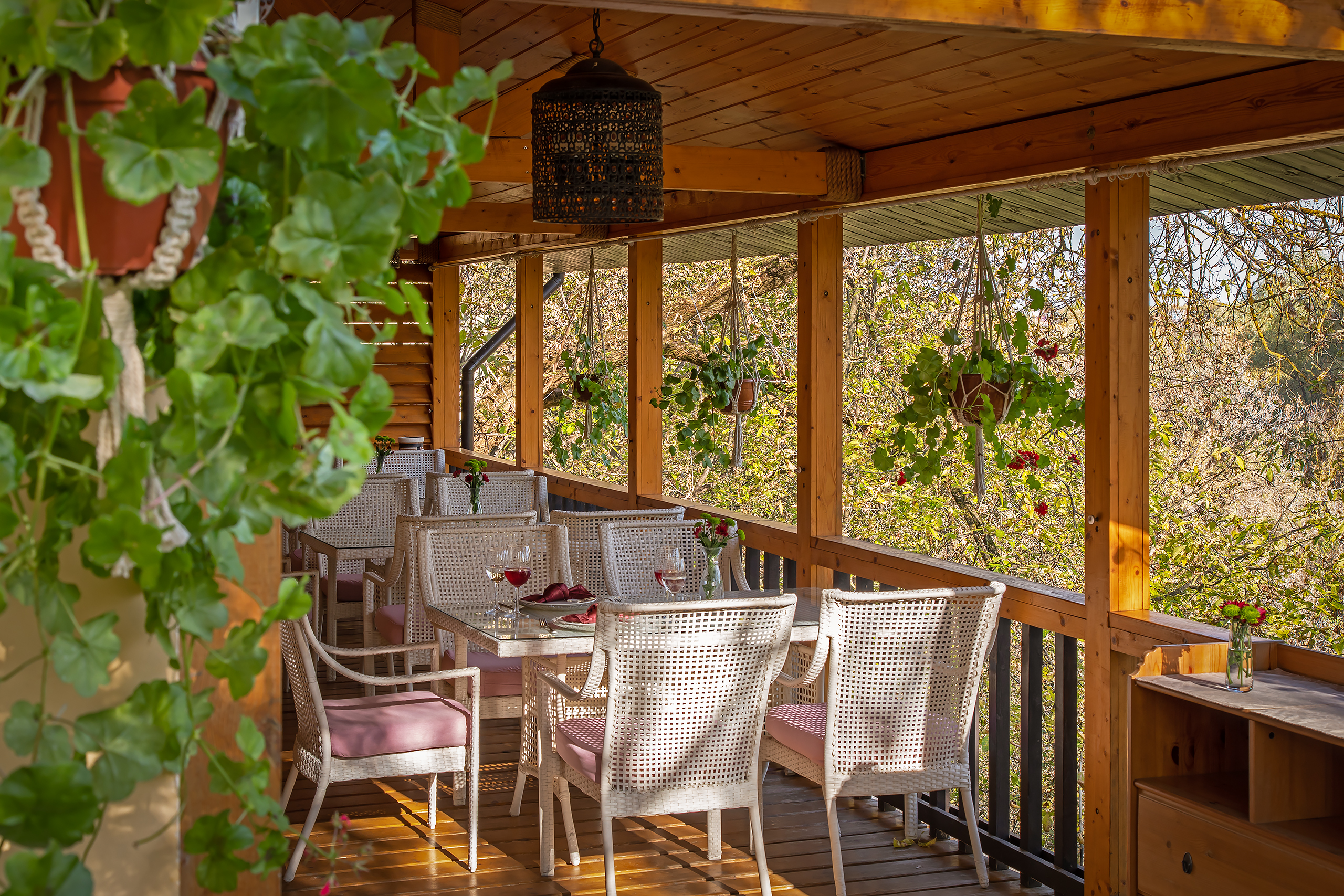 Фото Клевер