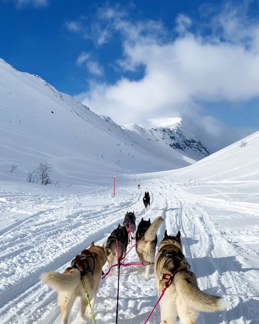 Фото Горная долина