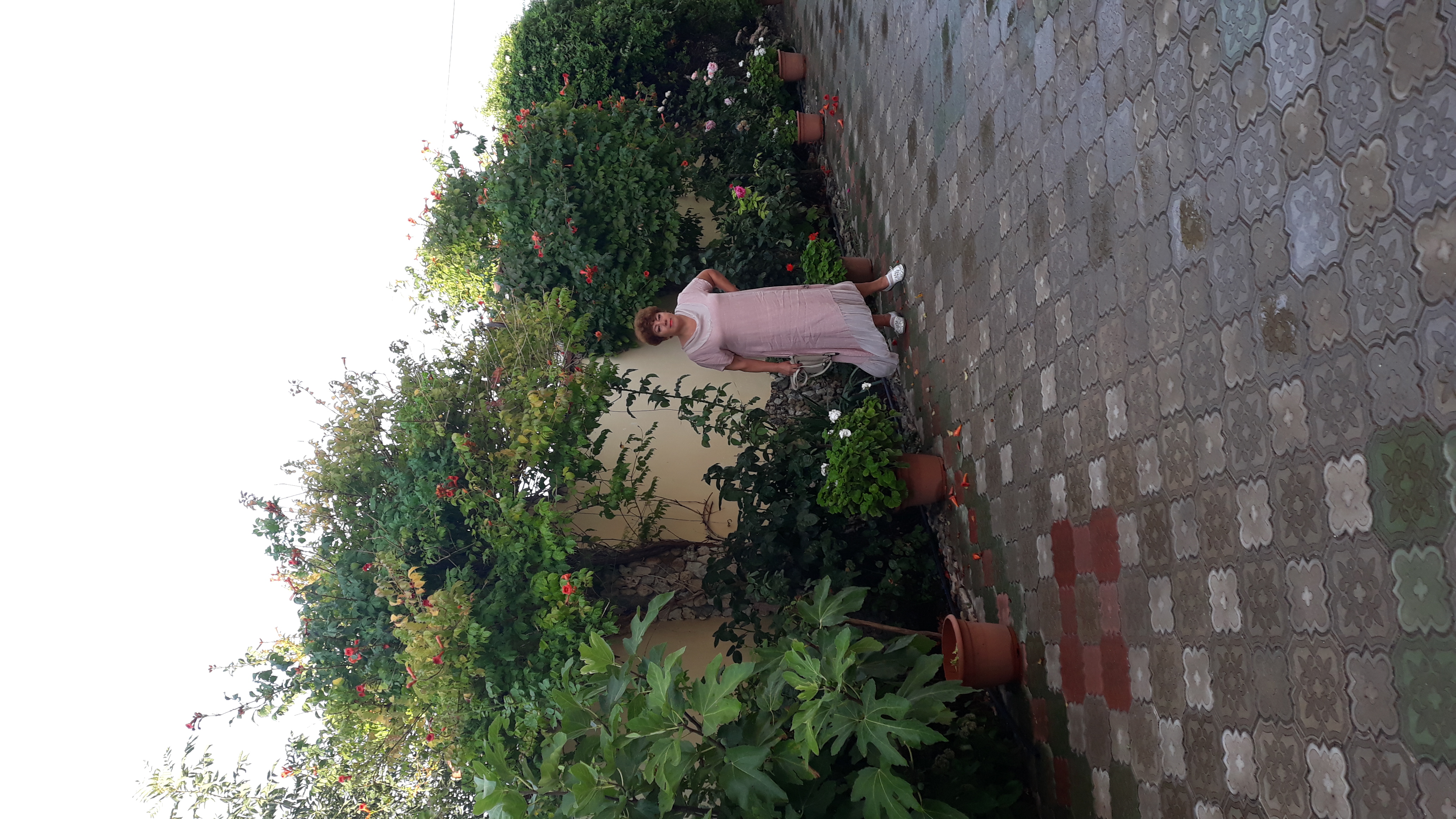 Фото Роза ветров