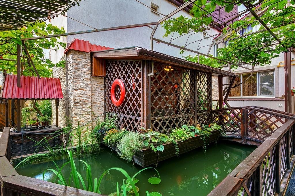 Фото Золотая рыбка