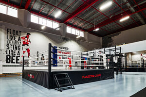 Palestra Sport (2nd Peschanaya Street, 4Ас2), fitness club