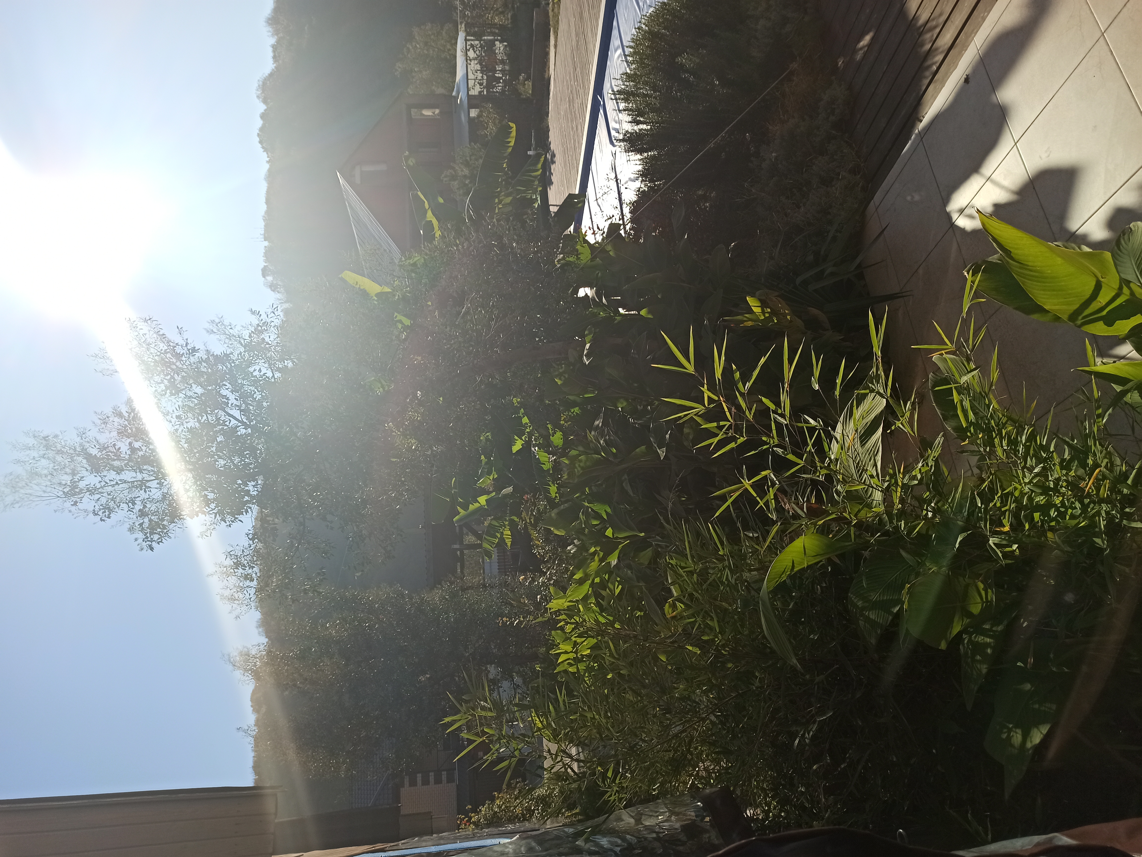 Фото Лесная поляна