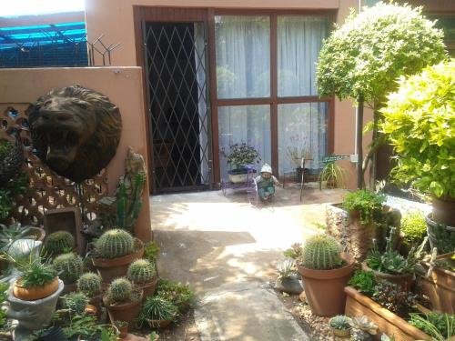 Фото Reggies Bed & Breakfast