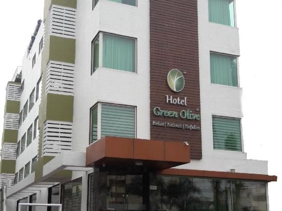 Фото Hotel Green Olive