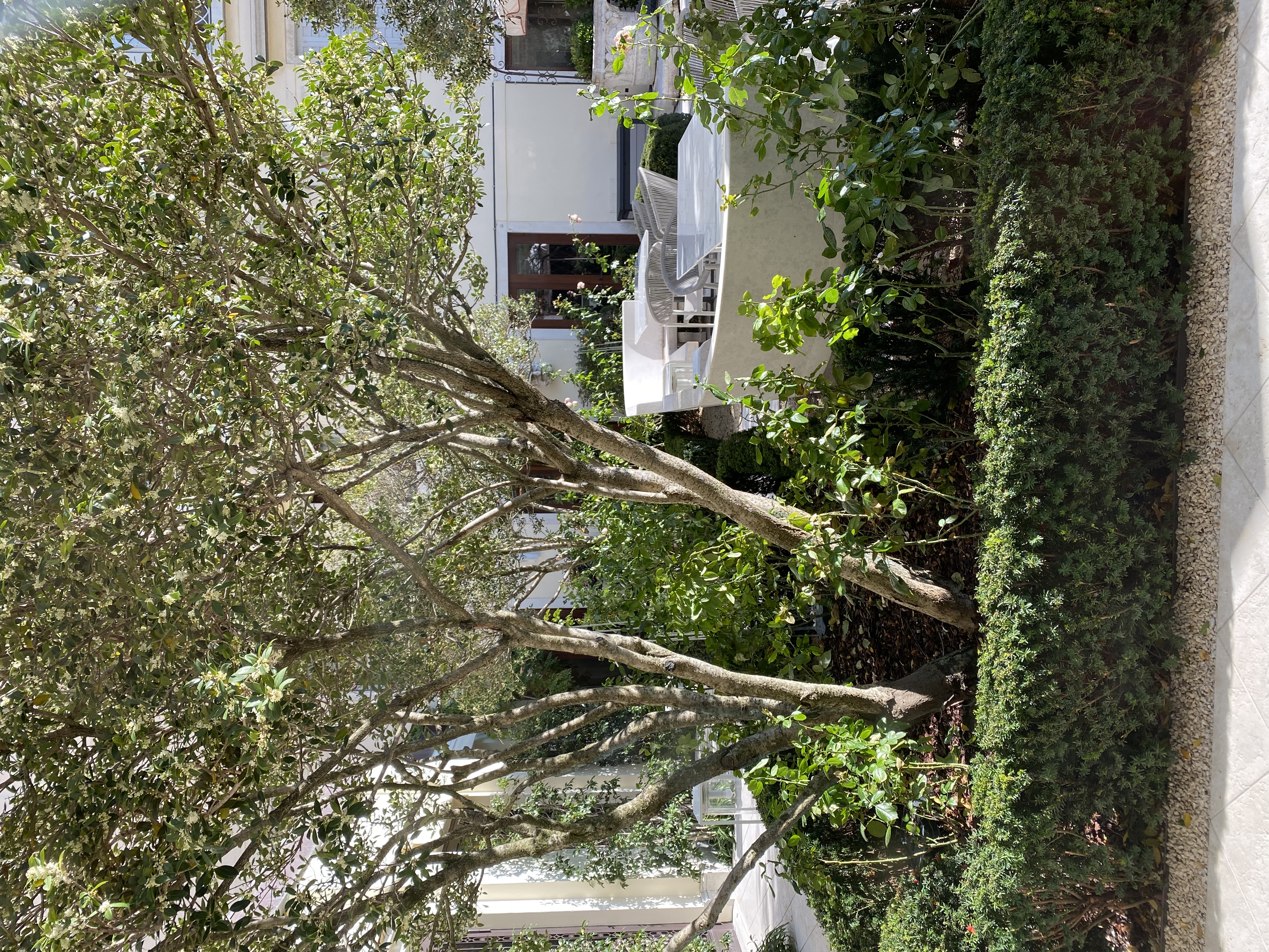 Фото The St. Regis Venice