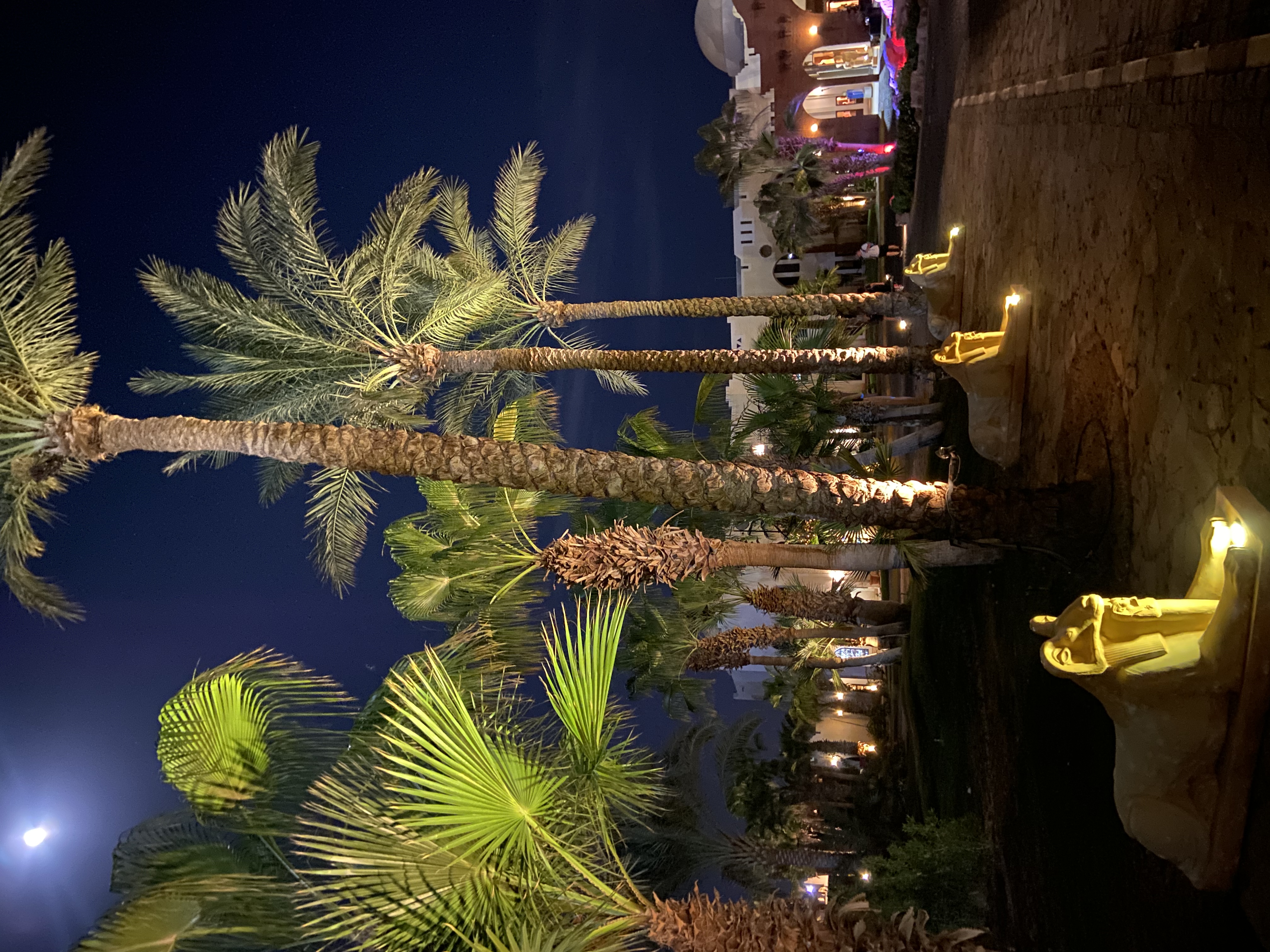 Фото Club Reef Resort