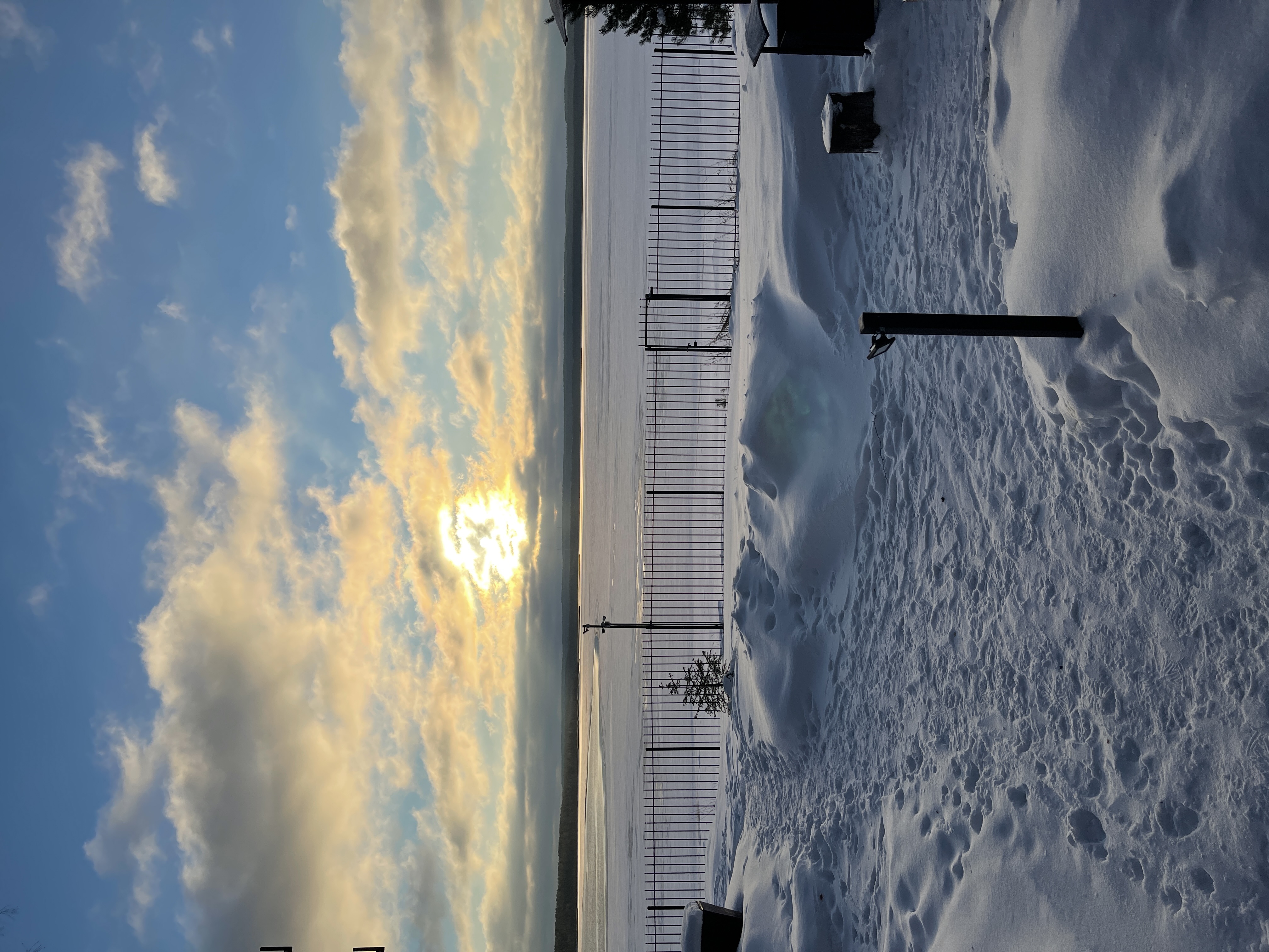 Фото Жемчужина