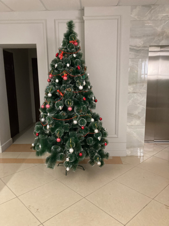 Фото Александровский