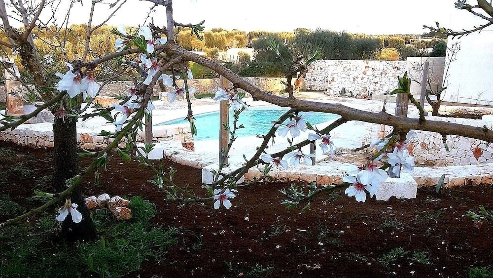 Фото Dimora il Mandorlo