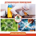DezServis (Tsentralnaya Street, 19Б), disinfection, disinsection, deratization