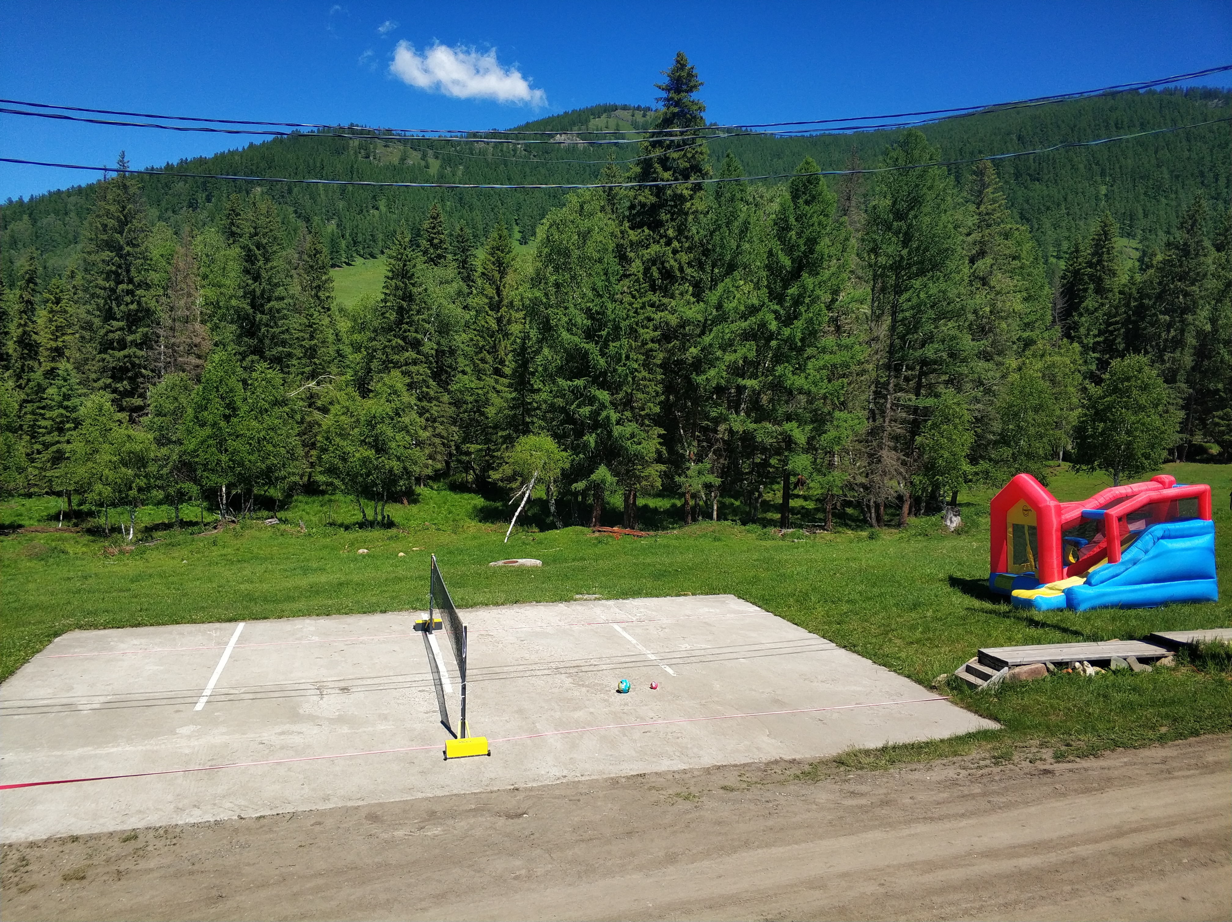 Фото Шебалинский питомник Королевский марал