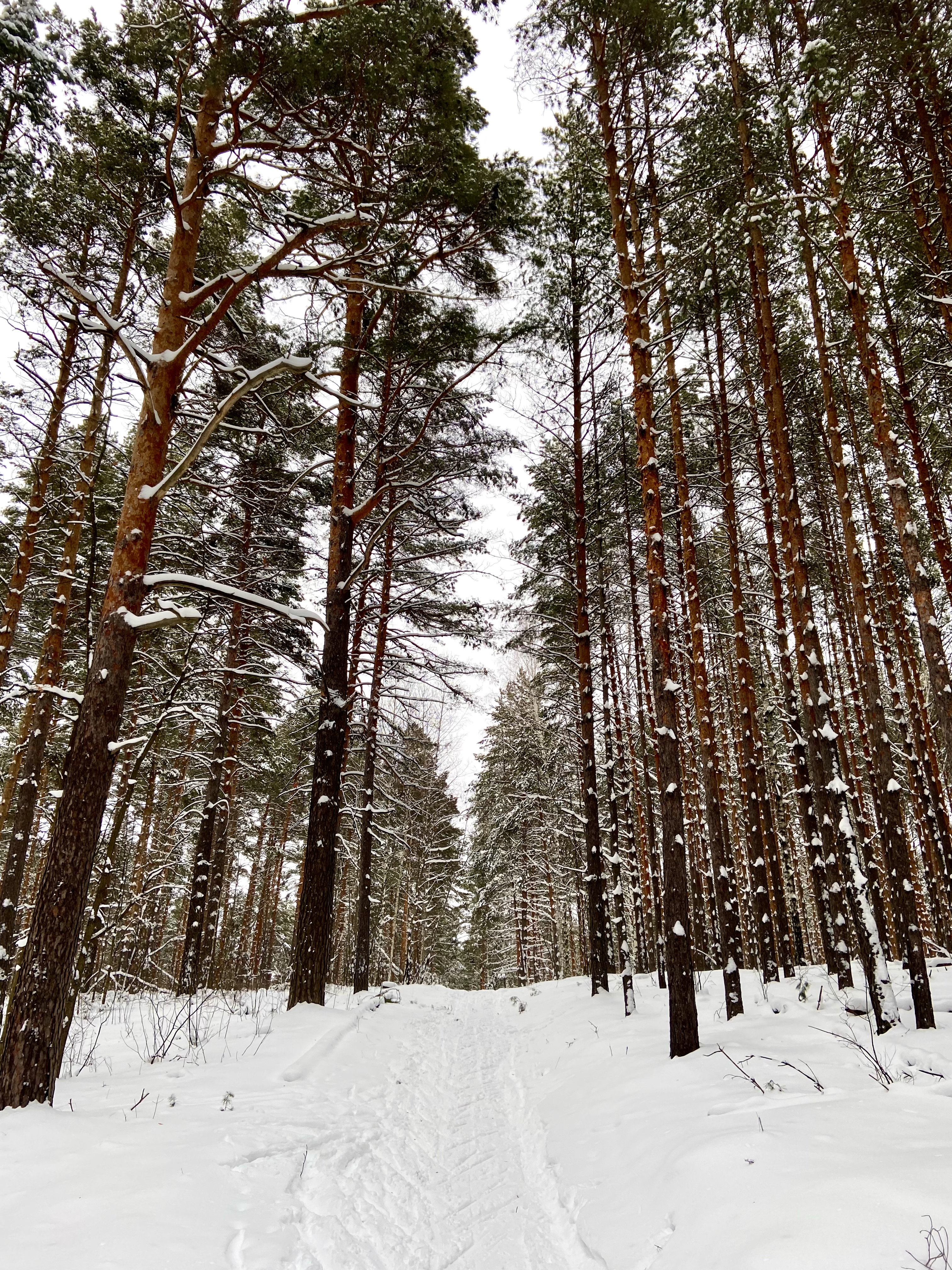 Фото Галдым