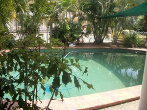 Гостиница The Colonial Rose Motel