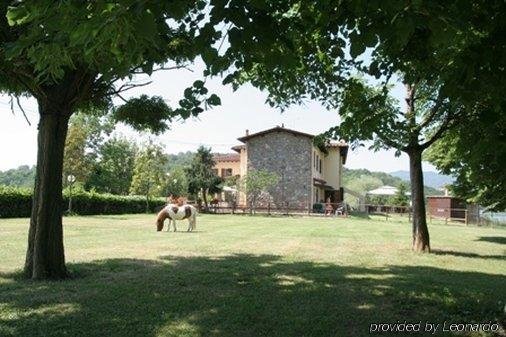 Фото Hotel Del Lago