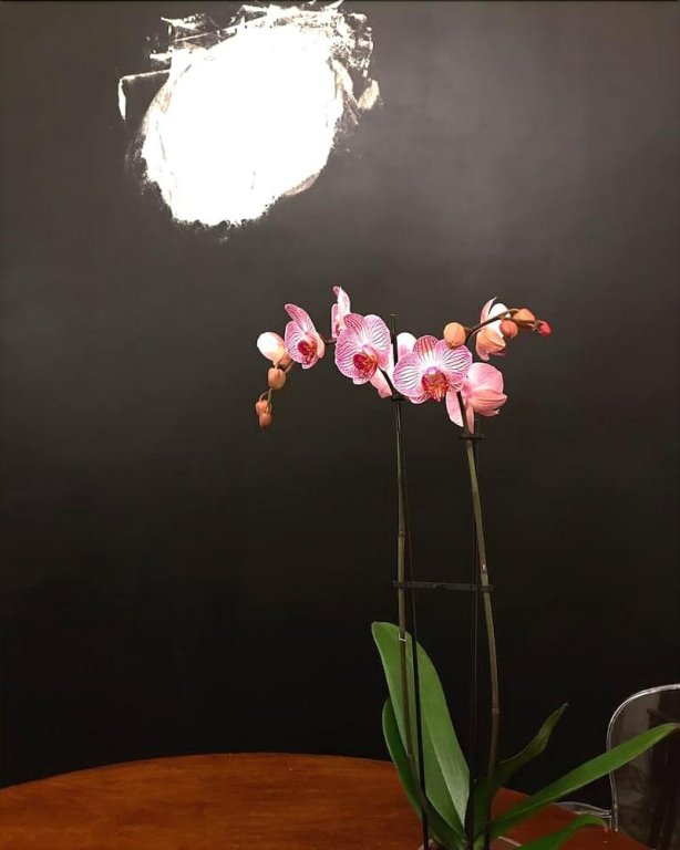 Фото L'8 Boutique VIA Piella