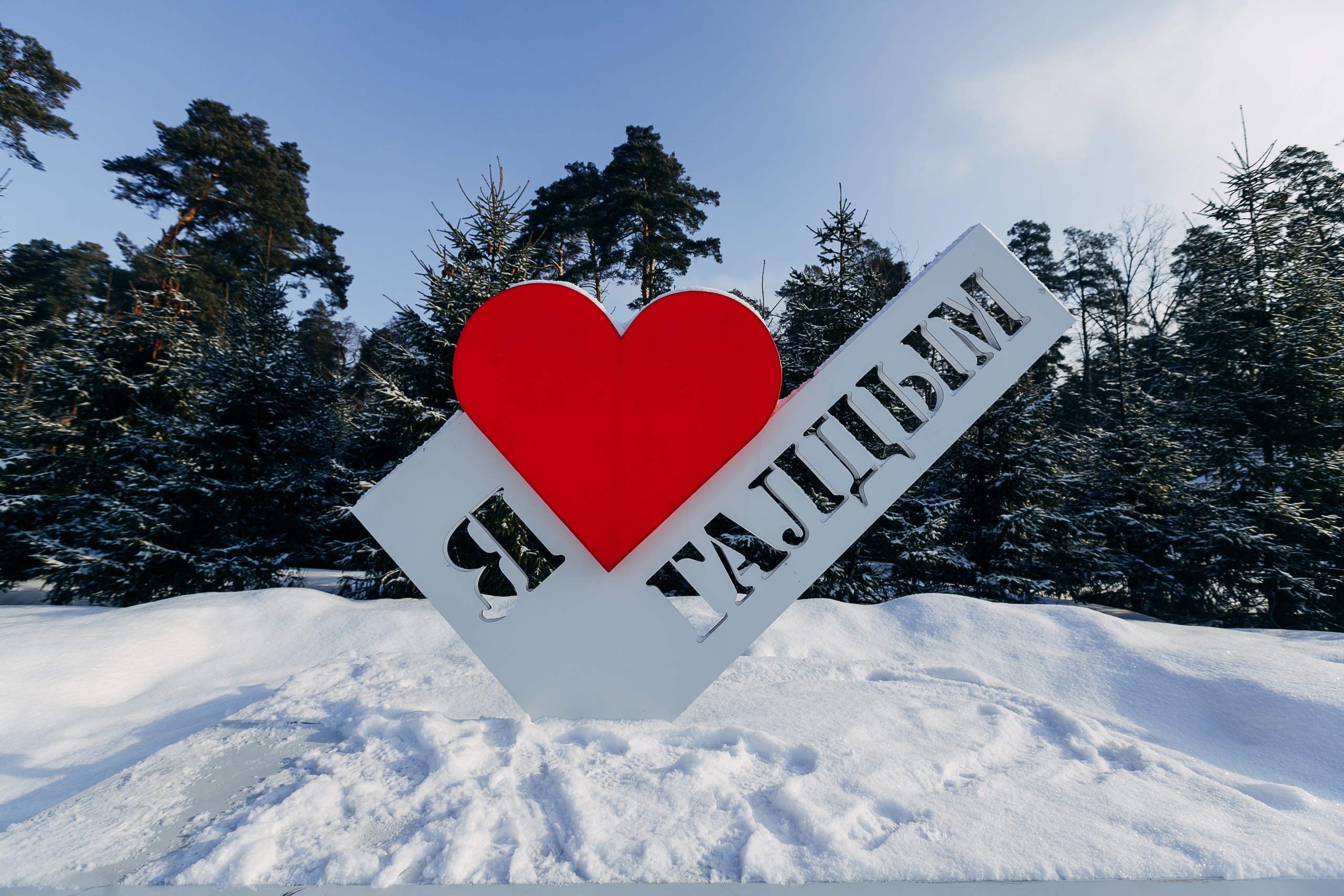 Фото Галдым