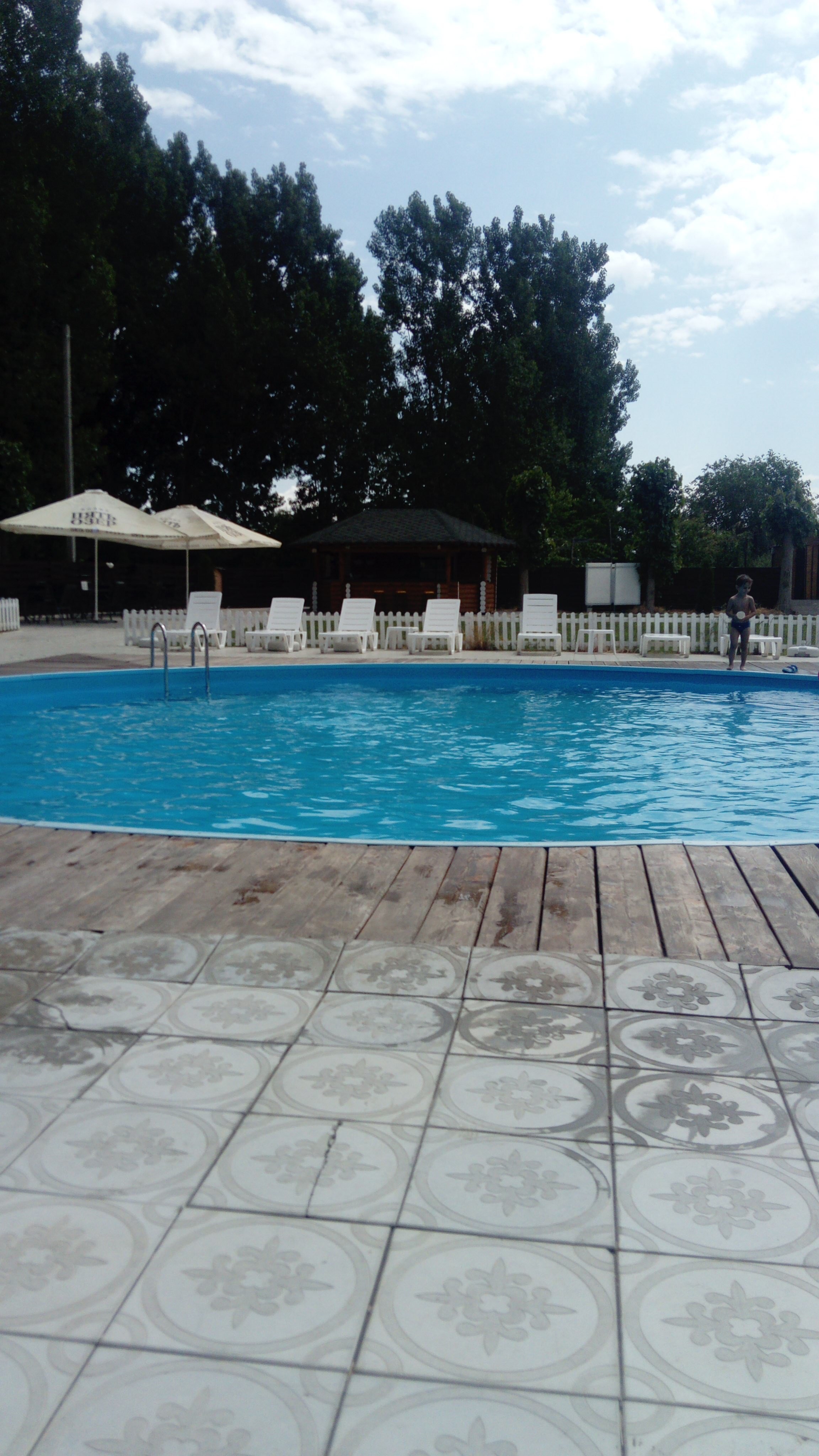 Фото Росинка