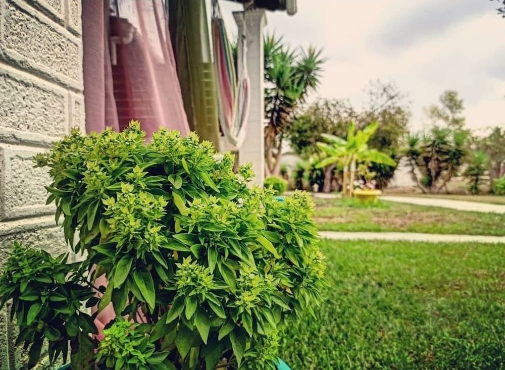 Фото Demis Apartments