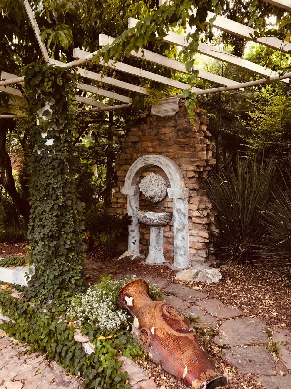 Фото Uzumfermer. uz