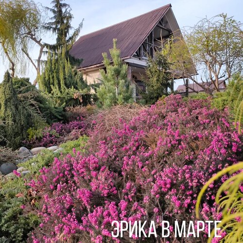 Режим работы