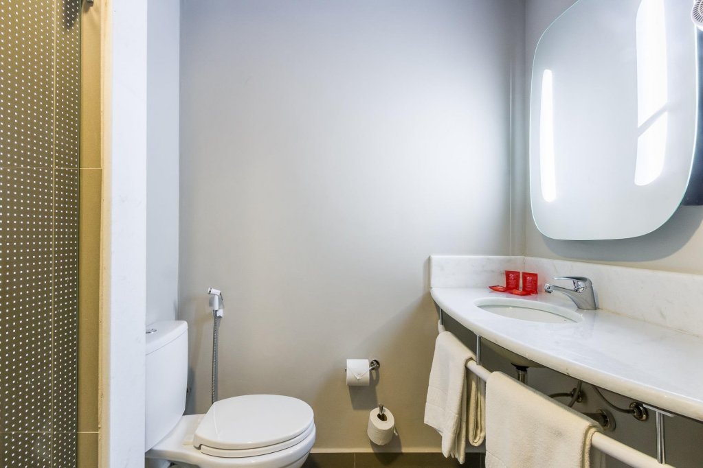 Фото Ibis Americana