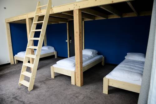 Фото Hostel Roots