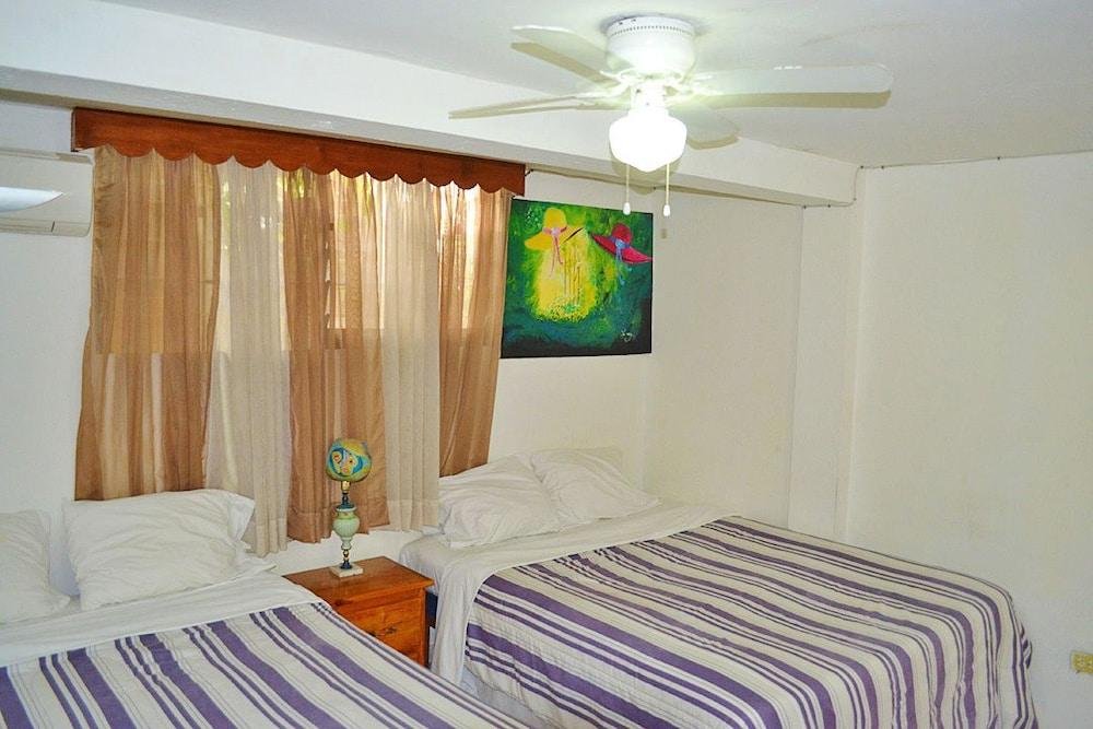 Фото Pacot Breeze