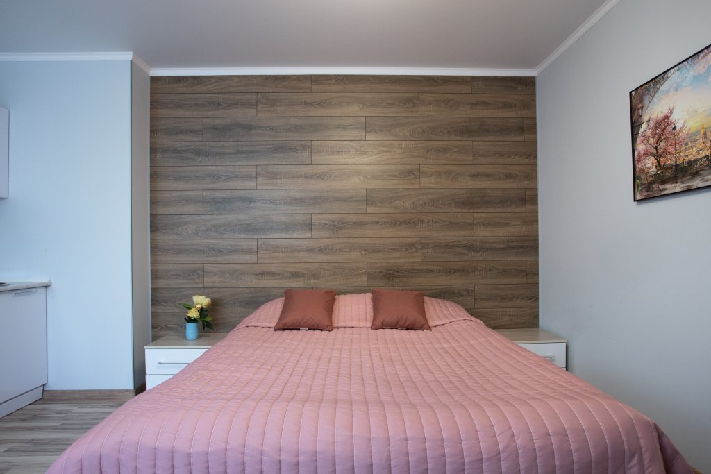 Фото Апартаменты Этажидейли на Белинского 30