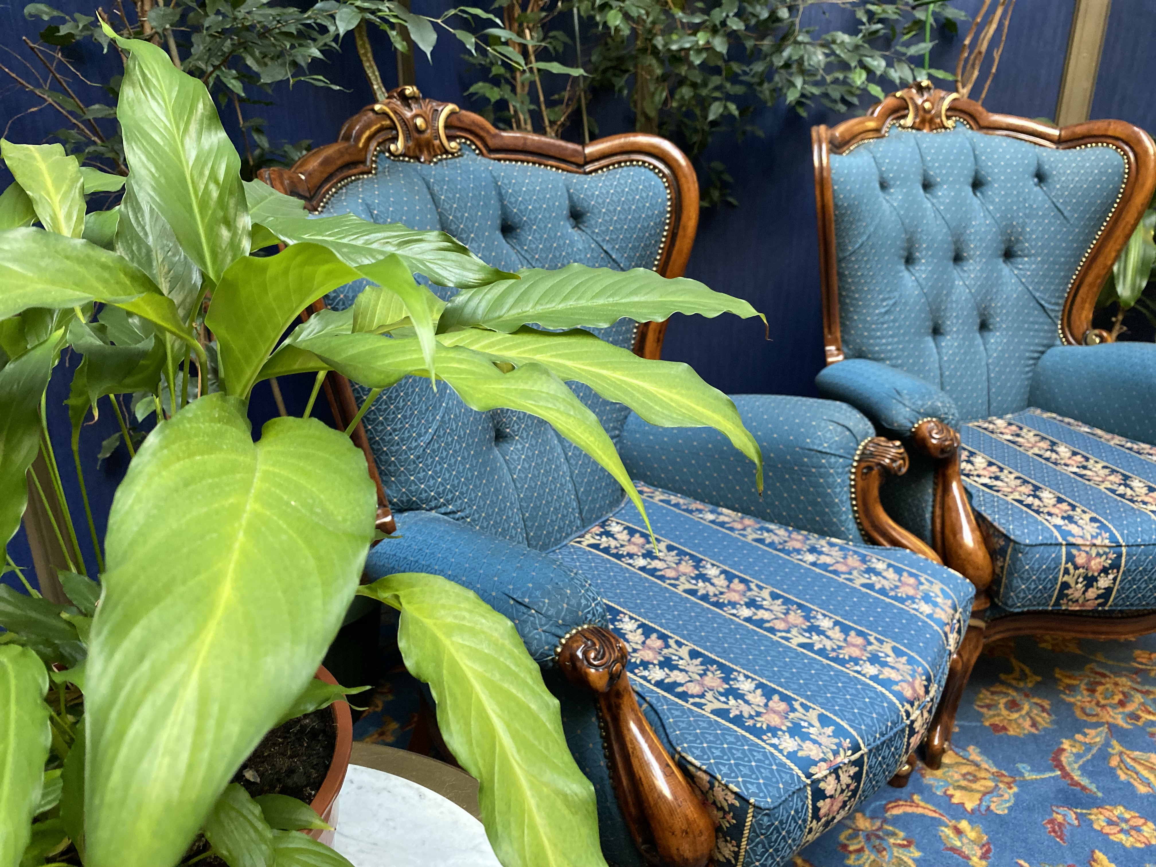 Фото Меркурий