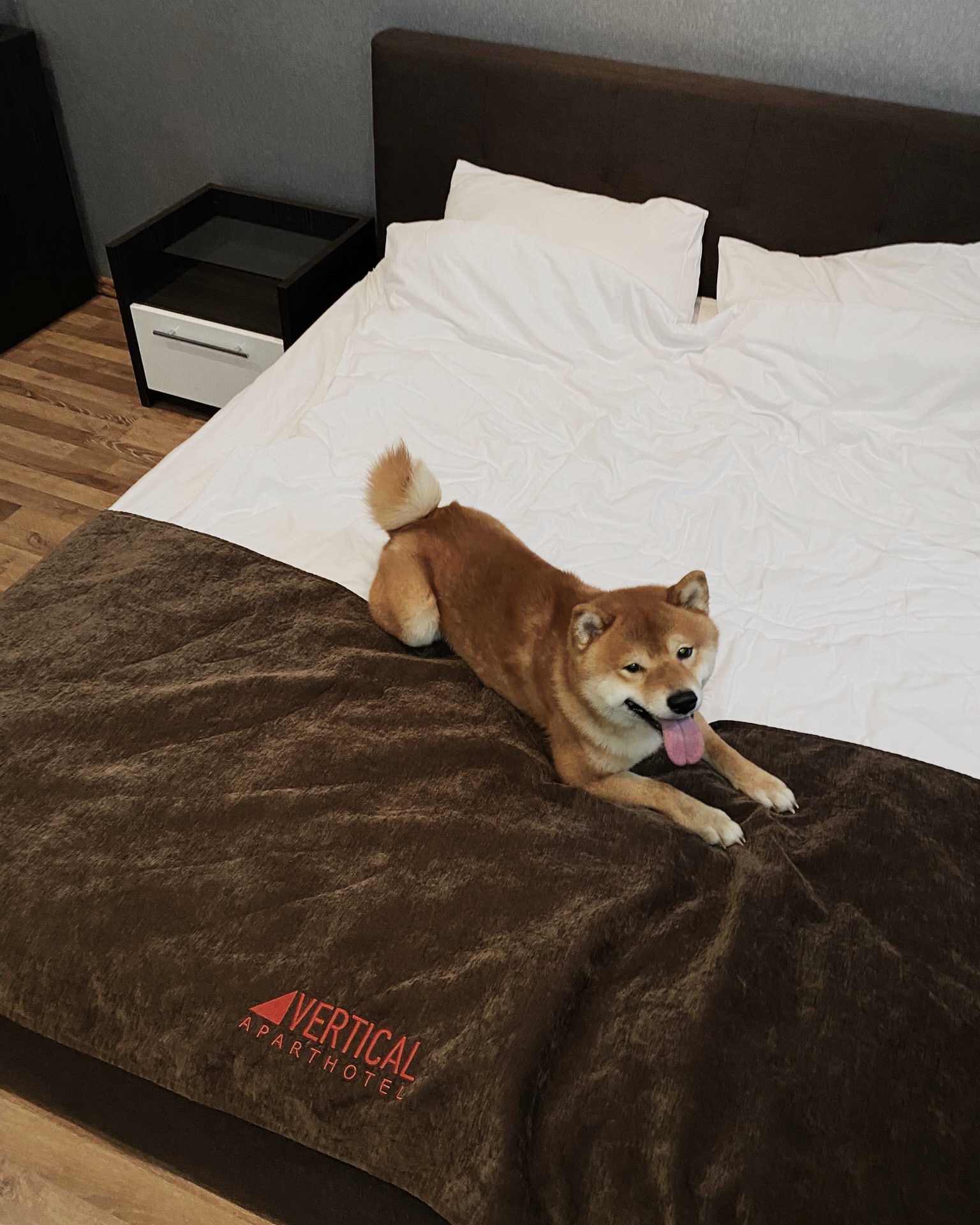 Фото Vertical Фрунзенская