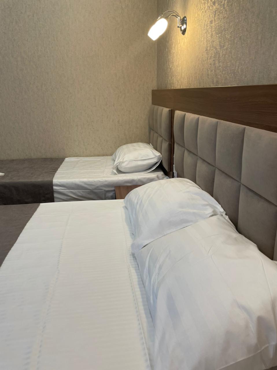 Фото Артика