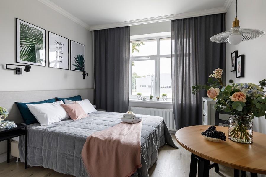 Фото Абрикосовое дерево Елагин