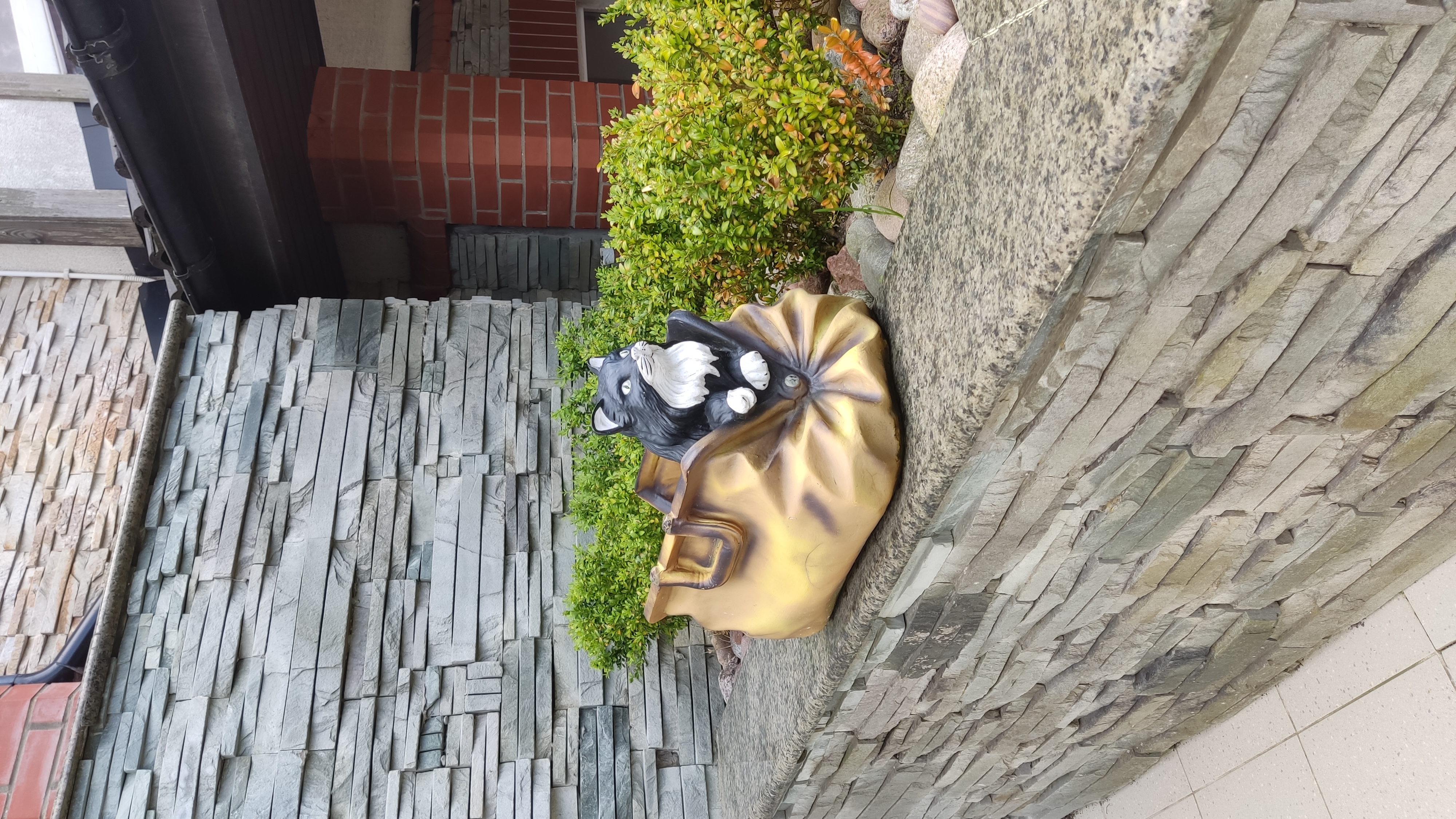 Фото Кошкин дом