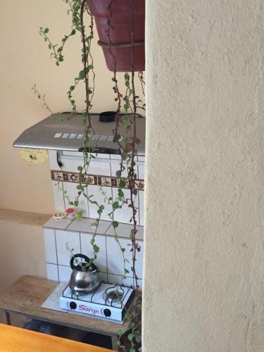 Фото Big Vacation Hostel