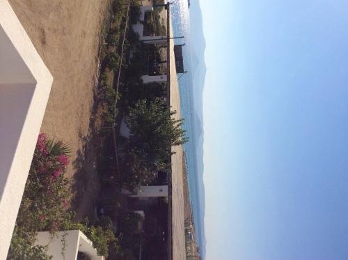 Фото Aronis Plaka Naxos