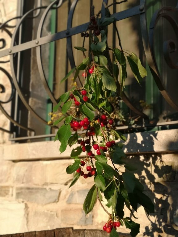 Гостиница Agriturismo Terra Nostra