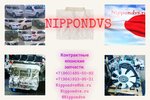 Nippondvs (Кружевная ул., 3, микрорайон Почтовый, Краснодар), авторазбор в Краснодаре